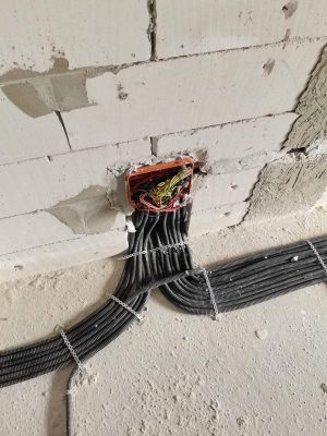 Whatsapp Image 2025 12 29 At 15.42.31 3